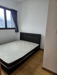 Midwood (D23), Condominium #555164361